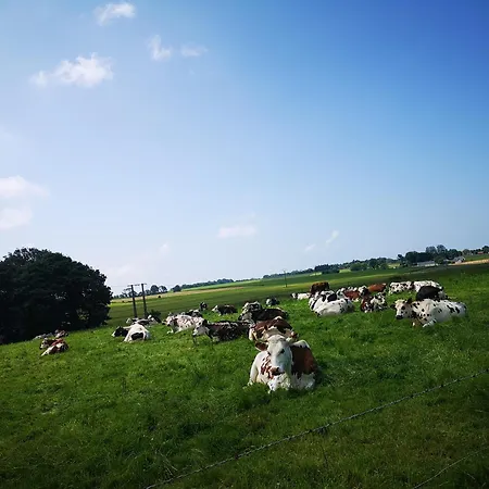 Chalet Le Refuge Delta Proche Etretat *